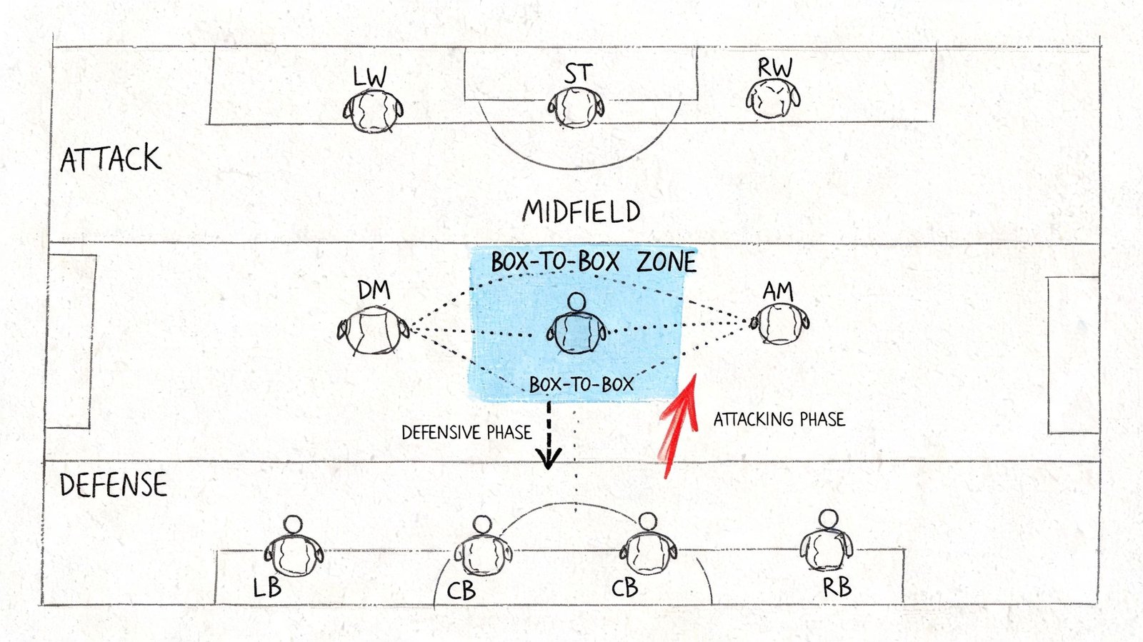 A diagram illustrating the positioning and role of a box-to-box midfielder within a soccer team formation.